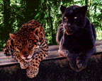clip_image016