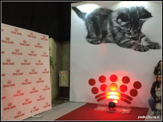 Expo Mascotas y Animales