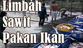 BUNGKIL KELAPA SAWIT SEBAGAI PAKAN IKAN