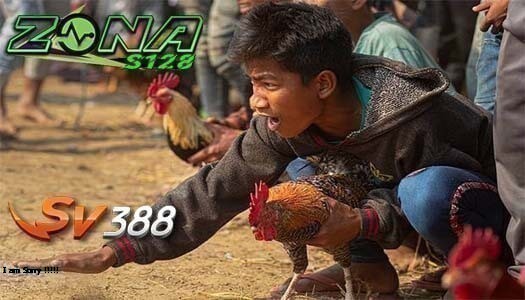 SITUS SABUNG AYAM Sv388 ONLINE 24 JAM JACKPOT 7X WIN