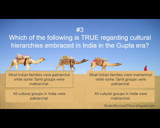 The correct answer is: Most Indian families were patriarchal while some Tamil groups were matriarchal.