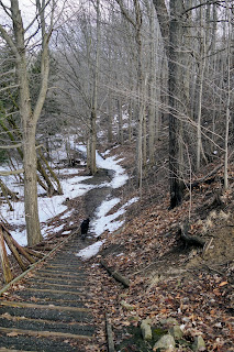 Stairs from the parking lot to the start of the Wilket Creek Trail.