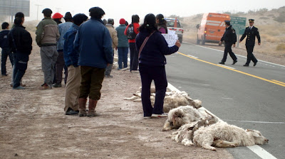 Manifestación de los pequeños productores rurales del Departamento Collón Curá.-