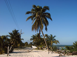 paysages du Mexique Sian Ka'an plage cocotier blog photos voyage yucatan