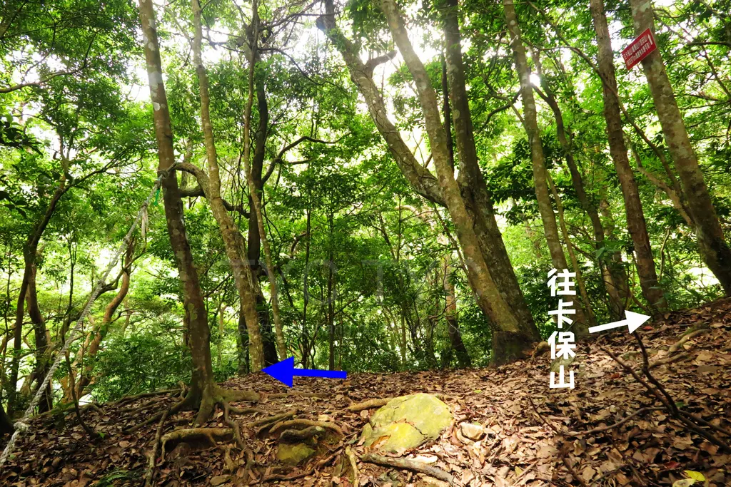 阿花瀑布.JPG