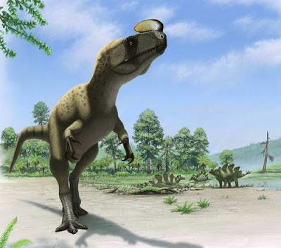 dinosaurus baru Kileskus Aristotocus