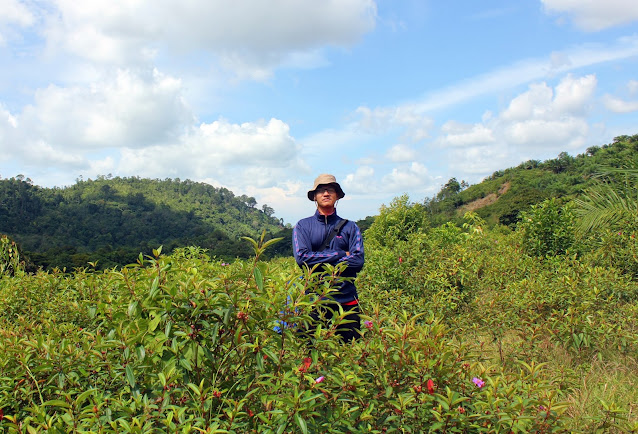 Air Terjun Lubuk Nyarai