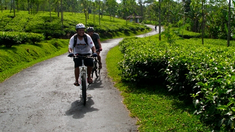 #GowesJelajah Kebun Teh 25 Juni 2011