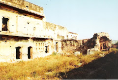 फारुखनगर के महल का खंडहर