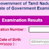 Tamilnadu 12th Public Exam Result Published May 2024 direct link 