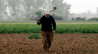 Οι αγρότες να δηλώσουν άμεσα τις ζημιές από την κακοκαιρία