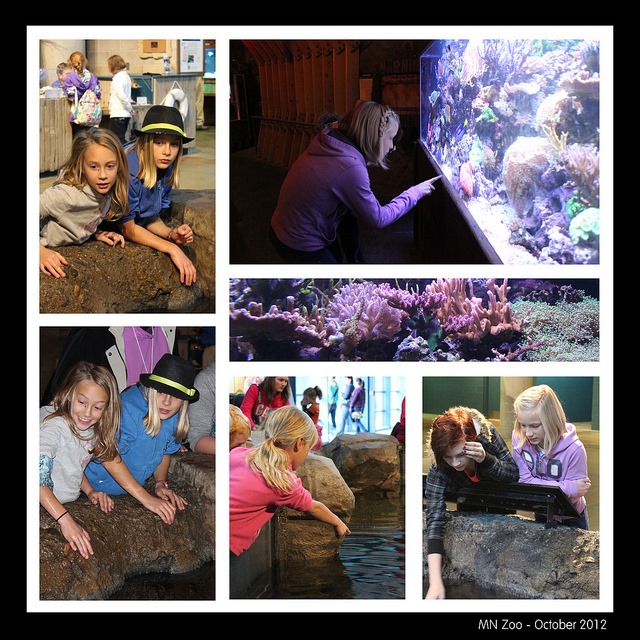 zoo2012 (7)