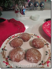 cider muffins - The Backyard Farmwife