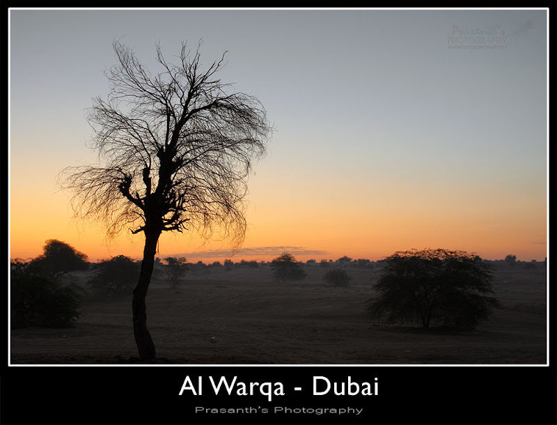 al warqua dubai UAE