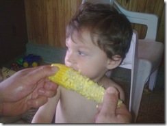 Imagen481