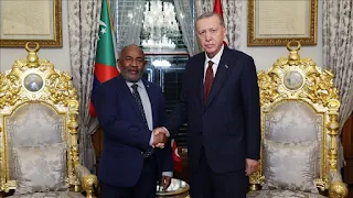 Turquie : Erdogan rencontre le président Assoumani Azali