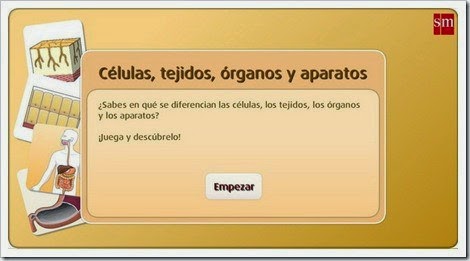 http://www.primaria.librosvivos.net/archivosCMS/3/3/16/usuarios/103294/9/5EP_Cono_ud1_184/frame_prim.swf