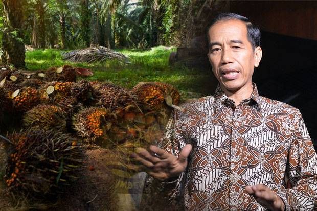 3 Minggu Jokowi Larang Ekspor Sawit, Duit Rp 2 Triliun Hangus