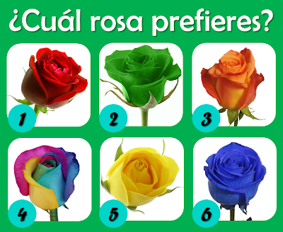 ¿Sabías que tu color de rosa favorito podría reflejar aspectos importantes de tu vida y de tu personalidad?