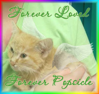 A Rainbow Bridge badge for Popsicle. It says, "Forever Loved. Popsicle Forever."