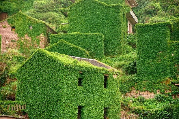 Nature 'Takes Back' Abandoned Village In China