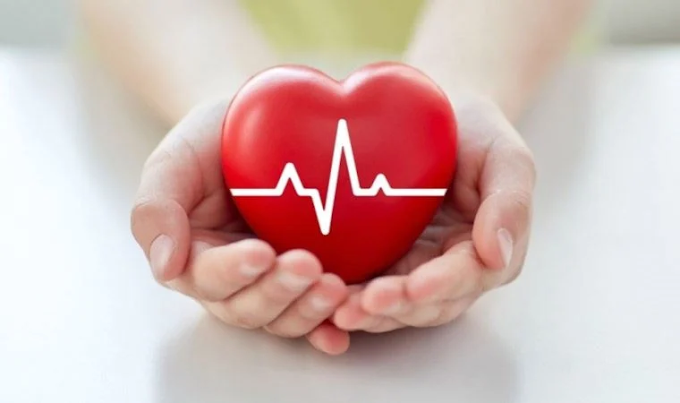 İzmir 79 bin 651 organ bağışıyla ilk sırada