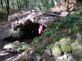 by E.V.Pita.... Spain, amazing rain forest in River Barragan (Pazos de Borben) / Por E.V.Pita.... Sorprendente bosque del río Barragan (Galicia, Pazos de Borbén y Fornelos de Montes) / A fraga do Barragán