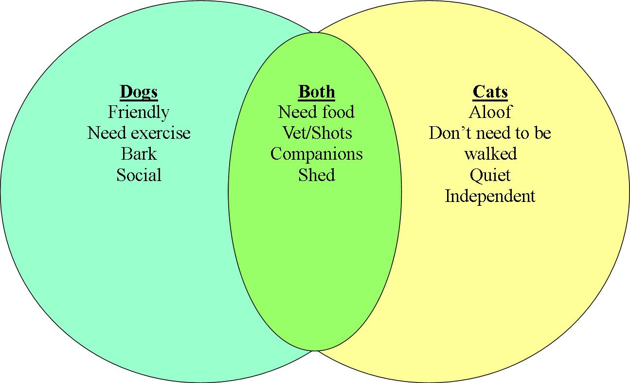 dogs and cats compare and contrast essay