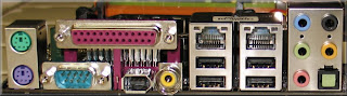 backpanel_large.jpg