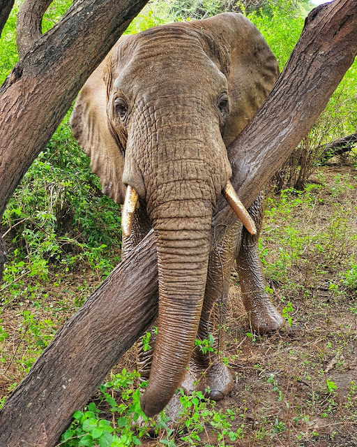 Lake Manyara