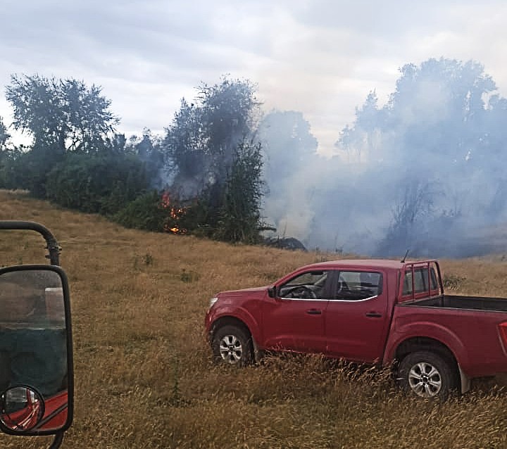 Incendio forestal afectó sector Santa Isabel