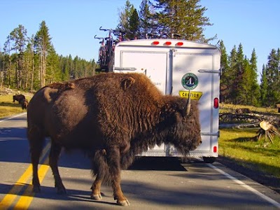 Austin Adventures makes visiting National Parks a better experience