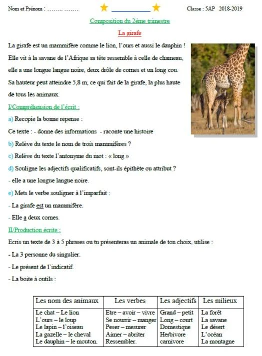 examen français 2eme trimestre 5ap 