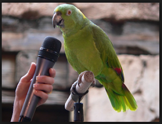 How to Educate a Parrot to Talk