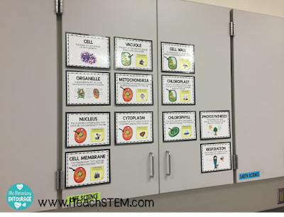 What does word study look like in an upper elementary science classroom? Content vocabulary and root words. Breaking down words and making connections through visuals and common experiences enables students to better understand the meaning of complex science words.