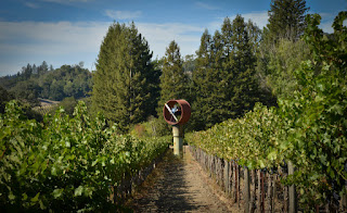 Best Vineyards in Napa -St. Helena CA