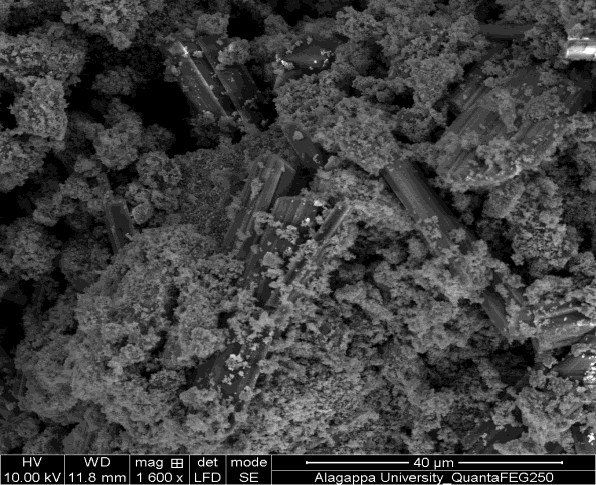 Green synthesis of CuO nanoparticles via Allium Cepa extract and its characterizations on dye degradation and antimicrobial activity