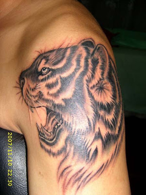 tattoos tigers. A Tiger Tattoo Design with