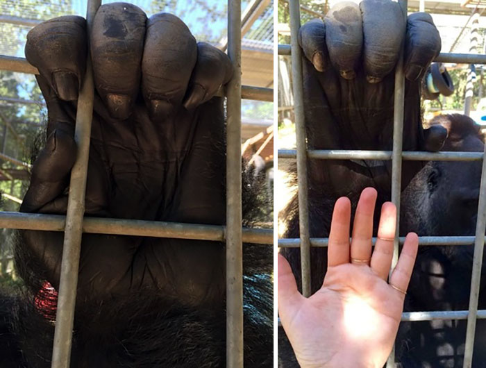 32 Incredible Photos Prove That Size Can Be Confusing Sometimes