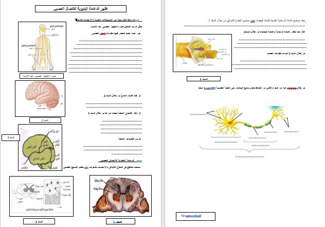 صور جيدة لمقطع التنسيق الوظيفي في العضوية علوم طبيعية للاستاذة سعيدي دليلة