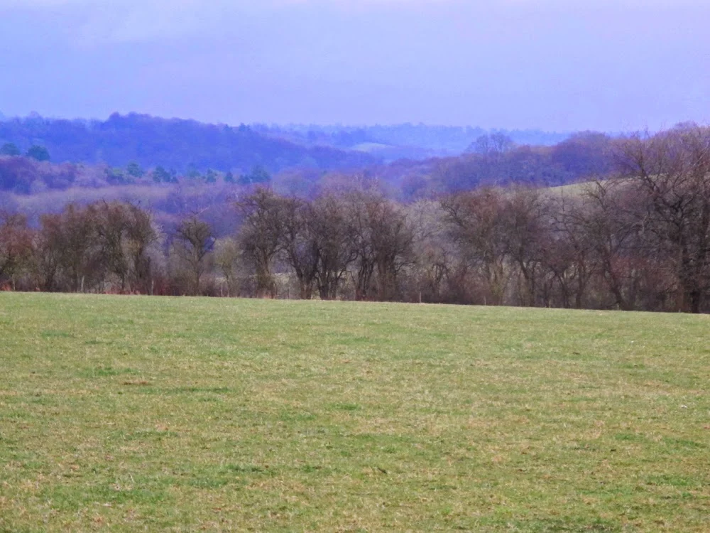 Running in Boom Boom Athletica in the Oxfordshire countryside