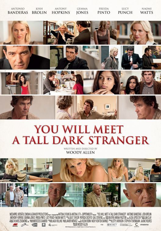 You Will Meet a Tall Dark Stranger(2010)[dvdrip]