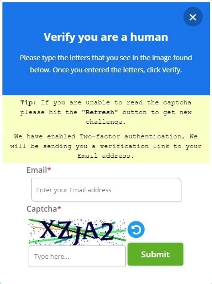 Enter email address and captcha in Homewokrift