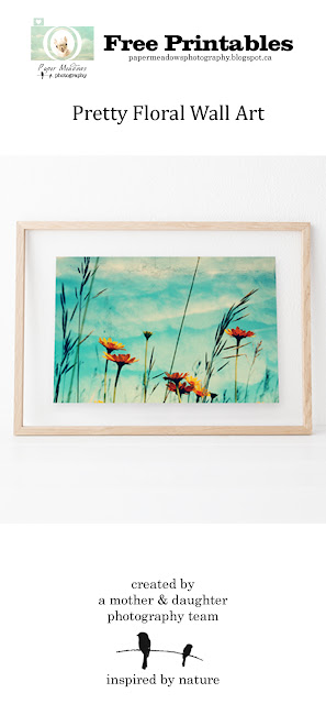 Paper Meadows Photography Blog-Free Printable-Orange flower wall art printable.