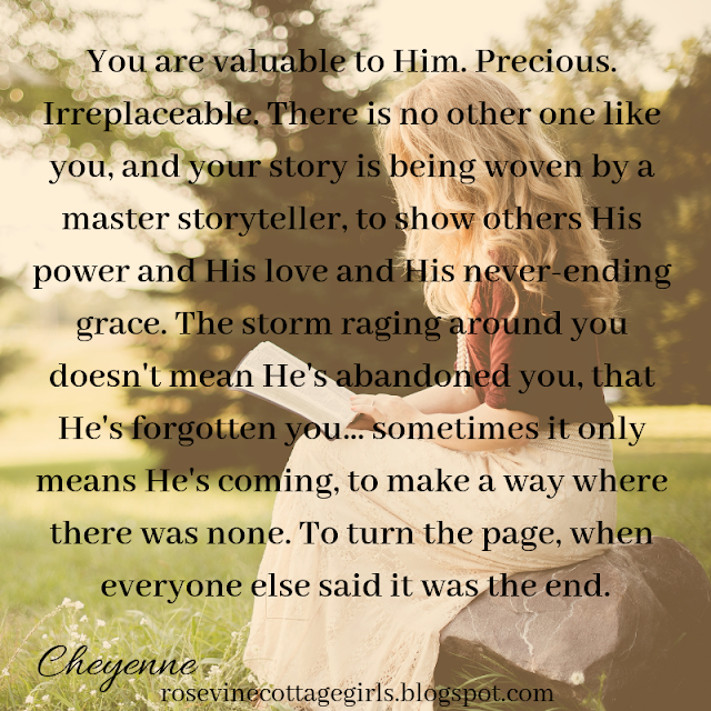 You are valuable to Him. Precious. Irreplaceable. There is no other one like you, and your story is being woven by a master storyteller, to show others His power and His love and His never-ending grace. The storm raging around you doesn't mean He's abandoned you, that He's forgotten you... sometimes it only means He's coming, to make a way where there was none. To turn the page, when everyone else said it was the end. 