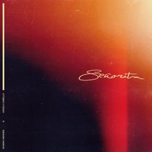 Lirik Señorita - Shawn Mendes & Camila 
