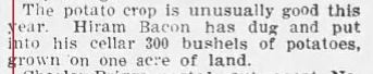 Hiram Bacon's bumper crop of potatoes October 1907