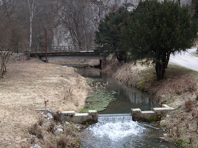 Ojcowski Park Narodowy, Dolina Sąspowska, grzyby 2019, grzyby zimowe, grzyby w Ojcowie