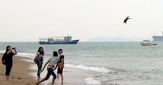 lelaki kejam,campak anjing,dalam laut