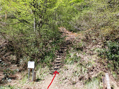 八乙女山登山 東屋の前の階段